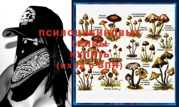 метадон Алзамай