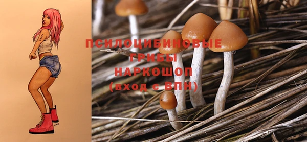 ECSTASY Алексин