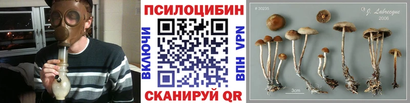 Псилоцибиновые грибы Cubensis  Сибай 